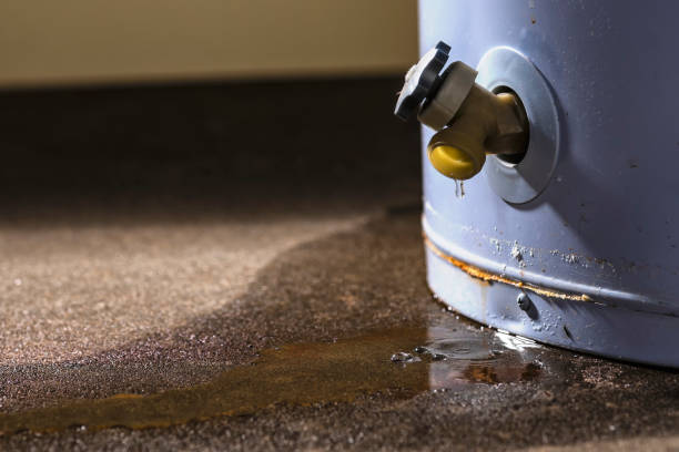 Best Water damage contractors near me  in Rose Hill, KS