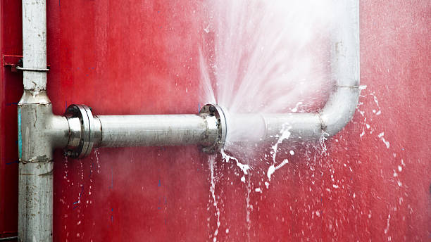 Best Flood damage cleanup  in Rose Hill, KS